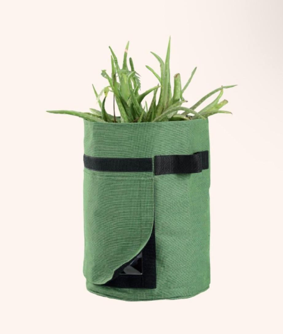 A green fabric grow bag with black straps, shown containing a small green plant, on a light beige background with a white text label at the bottom.
